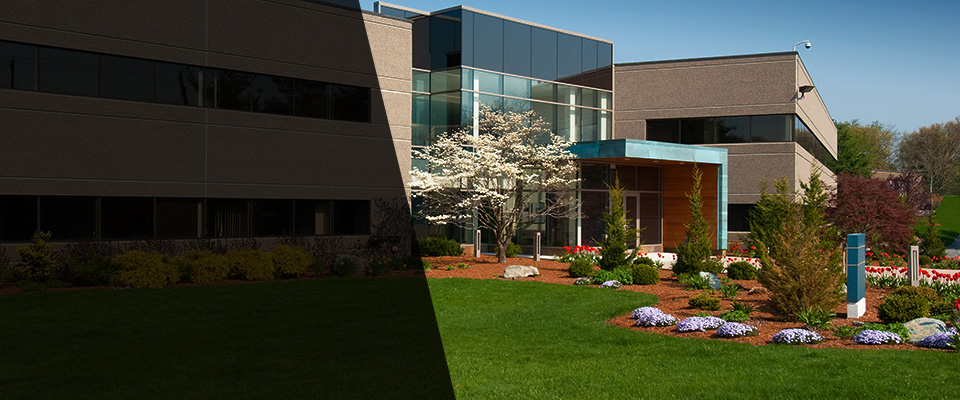Galax Landscapers