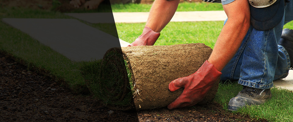 Galax Landscapers